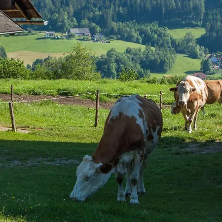 Moderne In Poels Mit Grosser Terrasse By Interhome * Pöls