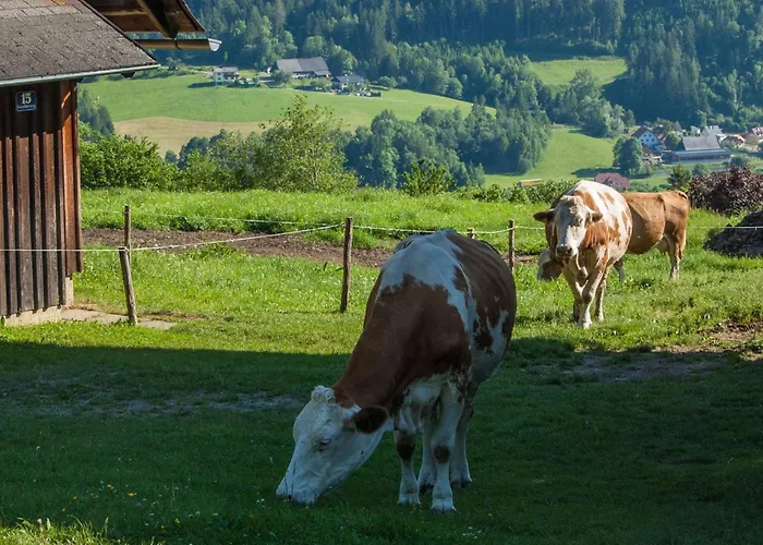 Moderne In Mit Grosser Terrasse By Interhome * Pols