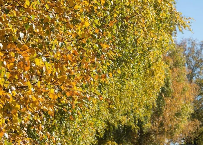 Moderne In Mit Grosser Terrasse By Interhome